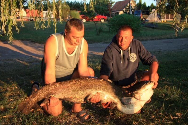 Harcsaszörnyet fogtak egy békéscsabai tóban – fotó
