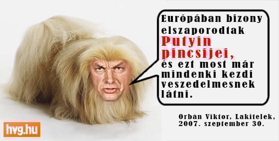A pincsivé vált fiú
