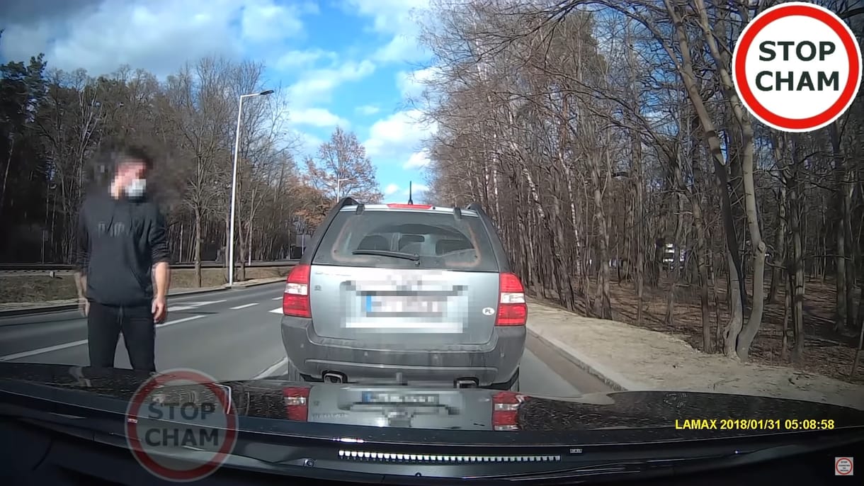 Viperával akart emberkedni a lengyel sofőr, de nagyon beégett – videó