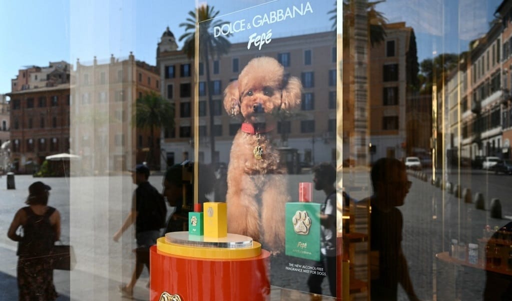 Kutyáknak készült parfümöt dob piacra a Dolce & Gabbana