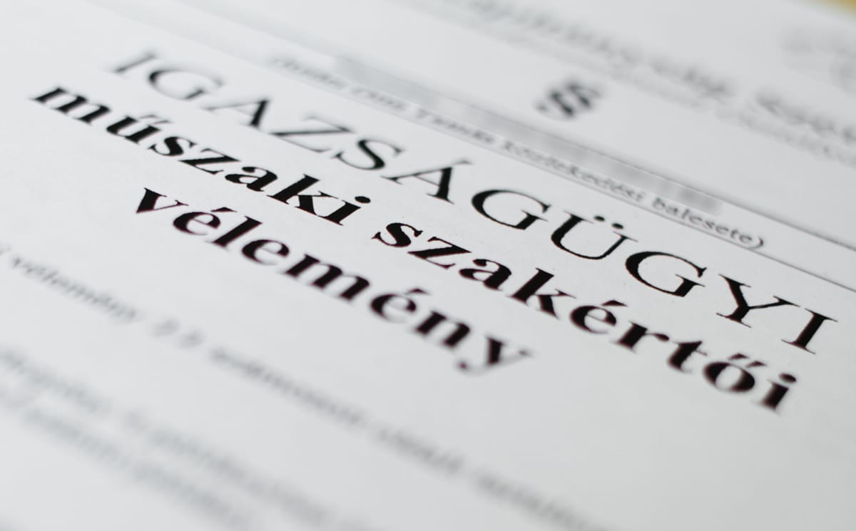 Plágiumgyanú: Másolt Rezesova szakértője?