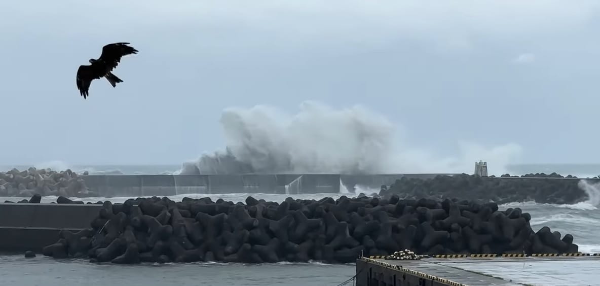 Újabb tájfun csapott le Japánra, lakások tízezrei maradtak áram nélkül