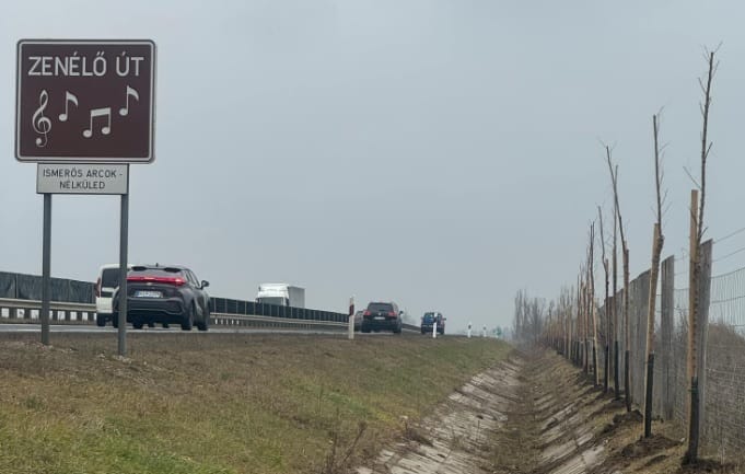 Csenevész facsemetéket ültettek a Nélküledet játszó zenélő út mellé, az ellenzők továbbra is zajvédő falat kérnek