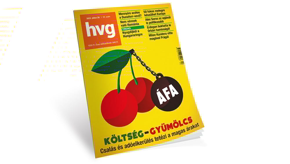 Kocsis Györgyi: Hazárdnak rendületlenül