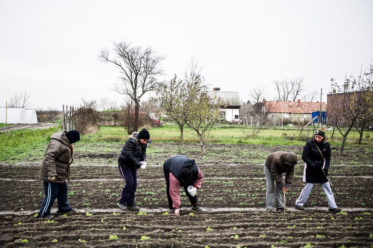 Milyen, amikor a kormány minden hangszeren játszik?