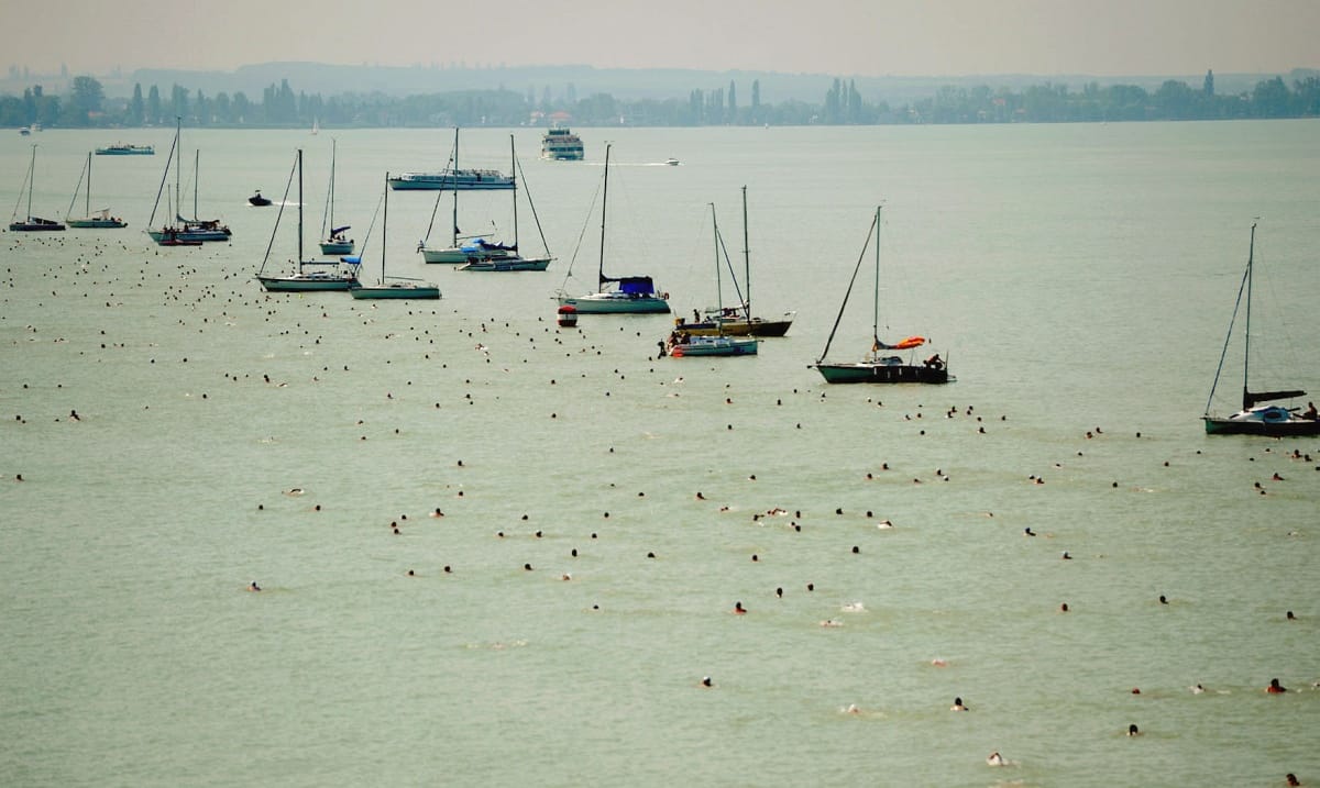 Elhalasztják a Balaton-átúszást