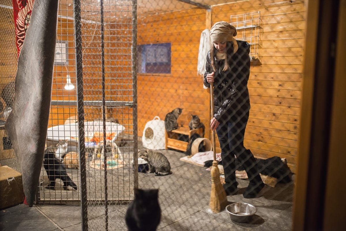 Ételosztás, takarítás – itt a kötelező közösségi diákmunka