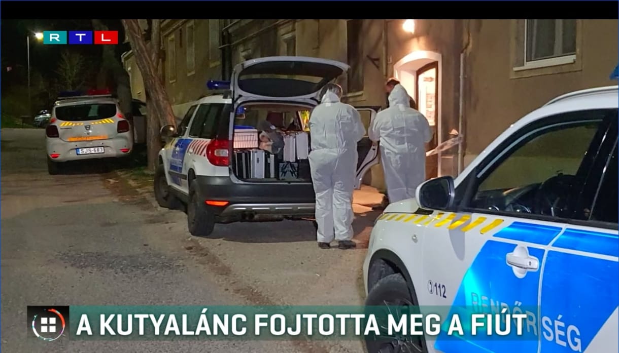 Felfüggesztett börtönt kapott a várpalotai nő, akinek ötéves nevelt fia megfulladt egy nyakára tekeredett kutyalánctól