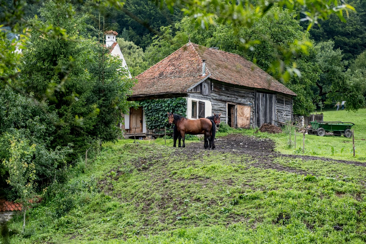 III. Károly erdélyi szakácsa szerint a király „kedves és egyszerű ember