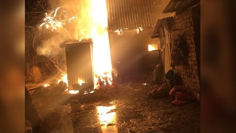 Nemzetiségi alapú tömegverekedés volt Kazahsztánban, többen meghaltak