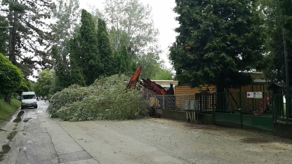 Csak eddig ötezer kárbejelentés a vihar miatt