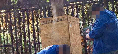 Puzsérék szerint a DK aktivistái szervezetten tépkedik a plakátjaikat
