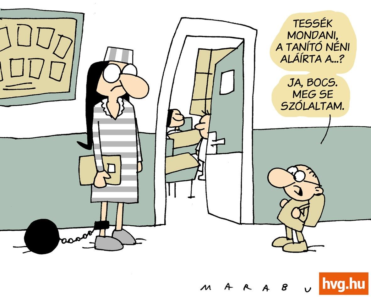 Marabu Féknyúz: Pedagógus-életpálya