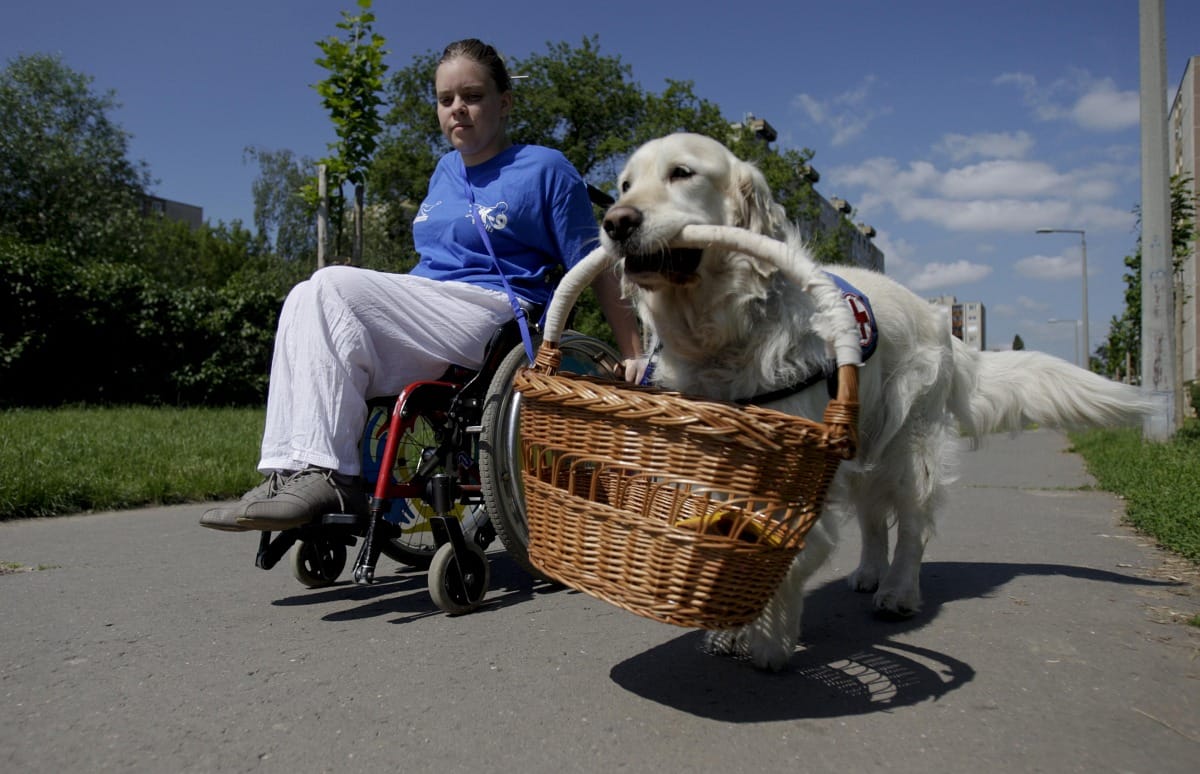 Felülvizsgálják a rokkantnyugdíjasok kedvezményeit