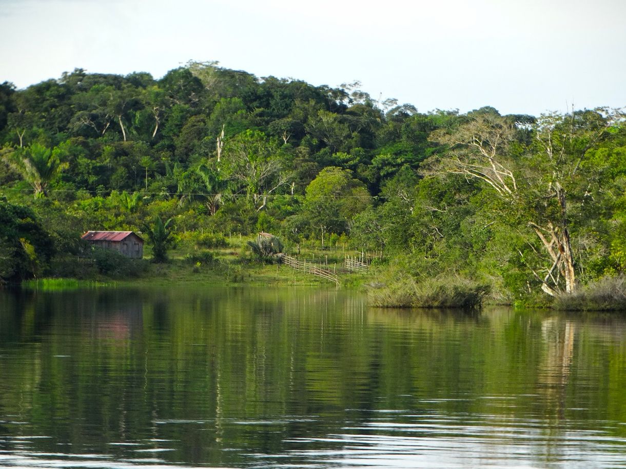 Nős férfiakat is felszentelhetnek, olyan kevés a pap az Amazonas vidékén
