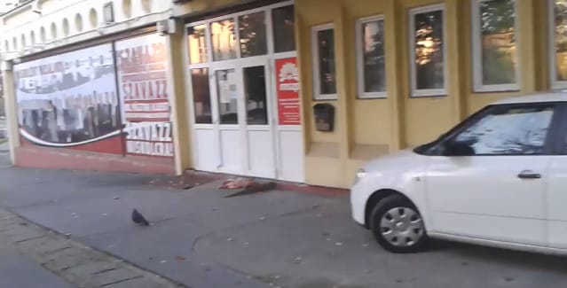 Nem kutyáé volt a miskolci MSZP-irodához dobott tetem