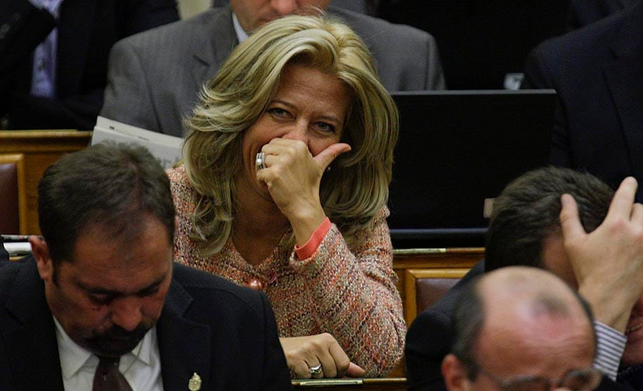 Vagyonhalmozó a nyugdíjvédő Selmeczi Gabriella