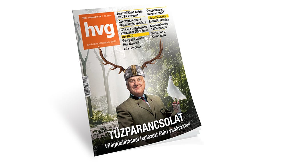 Kocsis Györgyi: Nyulak és nagyvadak
