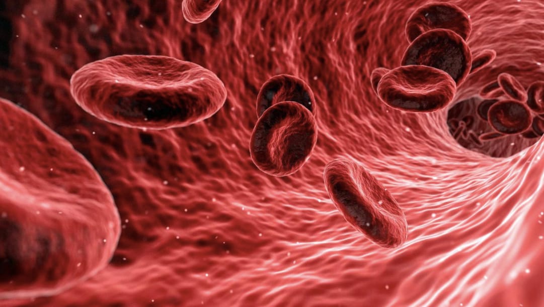 Laboratóriumban állítottak elő vörösvérsejteket, ez megoldást jelenthet a rendszeresen vérre szorulóknak