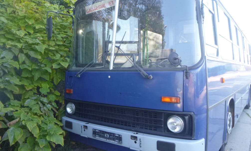 Hazaállítana egy régi csuklós Ikarusszal? Most bárki lecsaphat a BKV buszaira