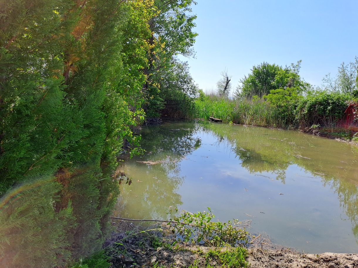 Nyomozás indult a zánkai Balaton-part felszámolása miatt, képeken a megszüntetett partszakasz