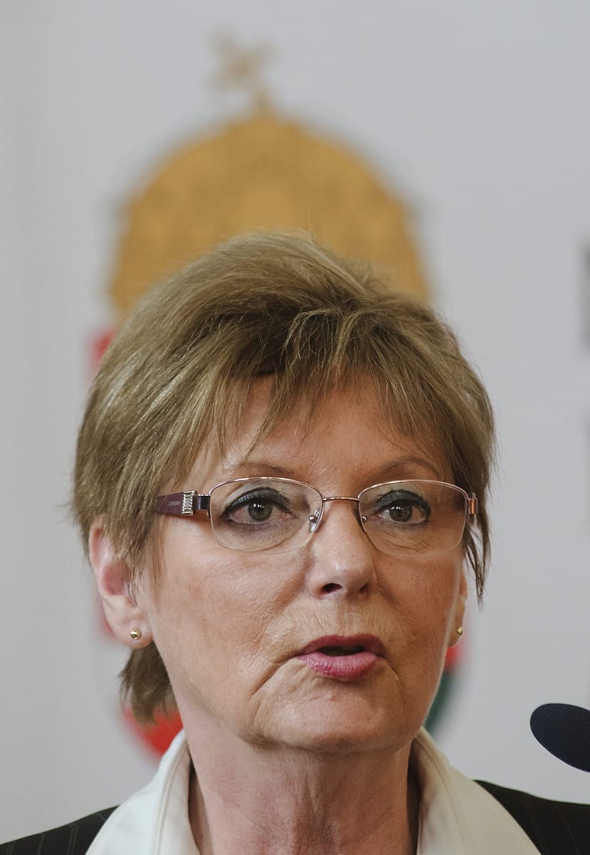 Hoffmann Rózsa esete a kártékony diplomásokkal