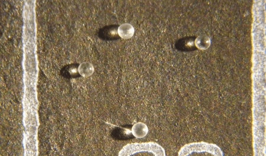 Fotók: furcsa üveggolyók kerültek elő Floridában, 2-3 millió éves meteorit nyomai lehetnek
