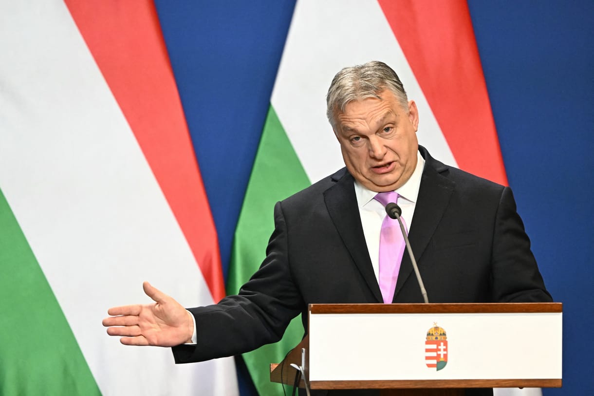 Para-Kovács Imre: Egy bohóc nézetei