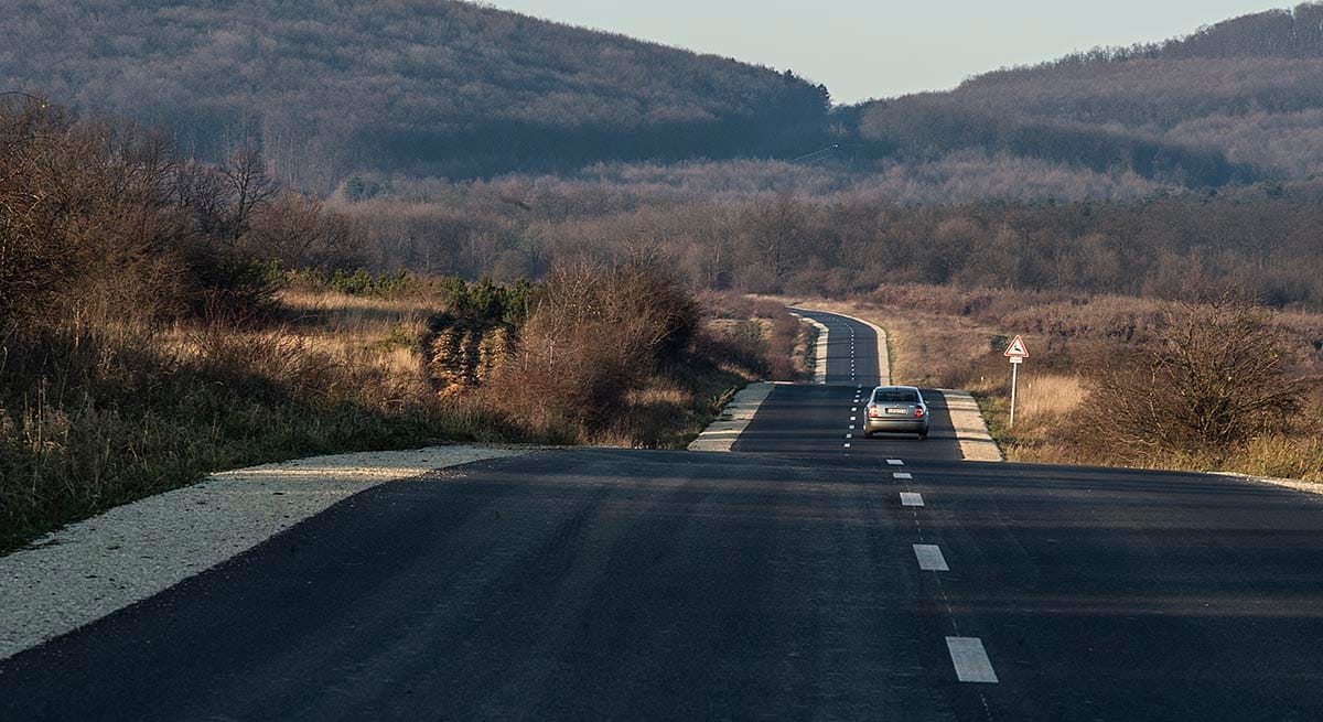 Lovas turizmusba kezdhet Simicska, ha nem lesz képviselő