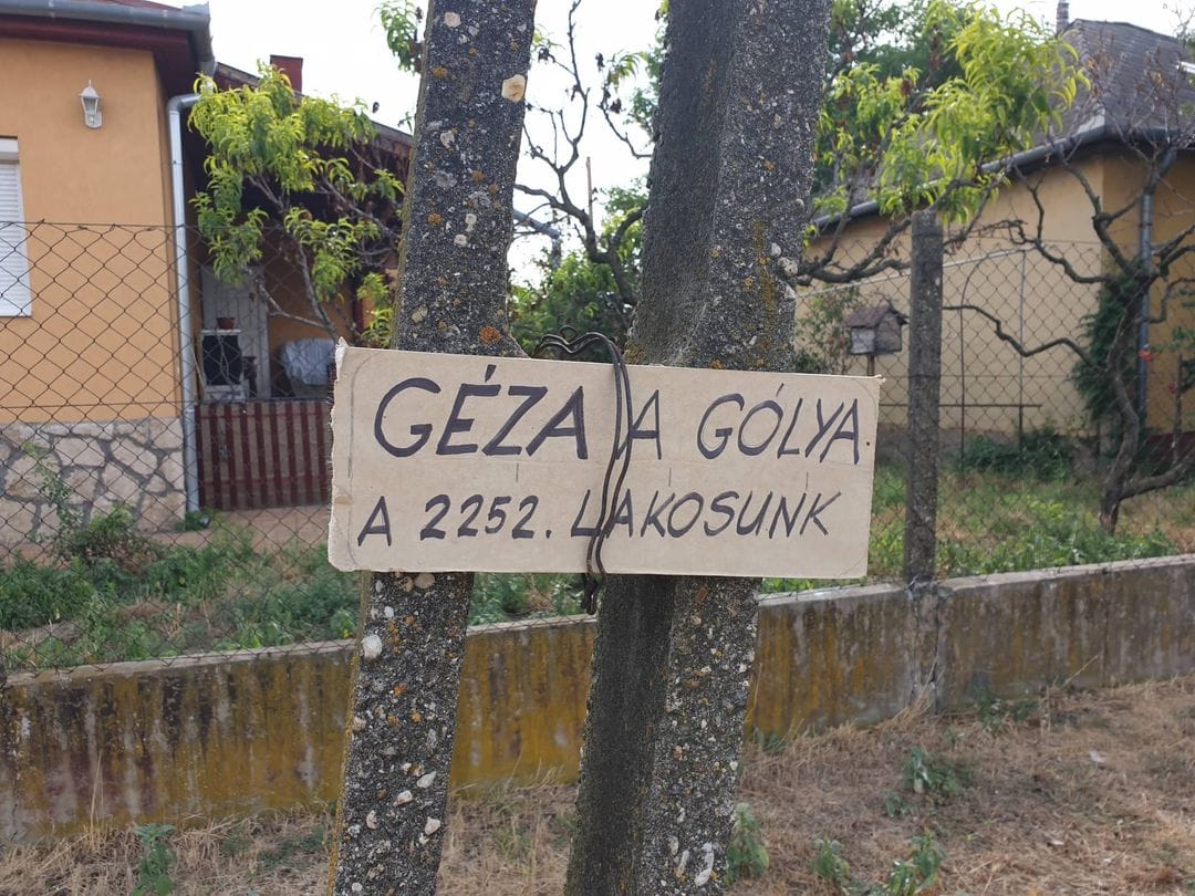 Gézát, a gólyát is a lakosok közé sorolták egy magyar faluban