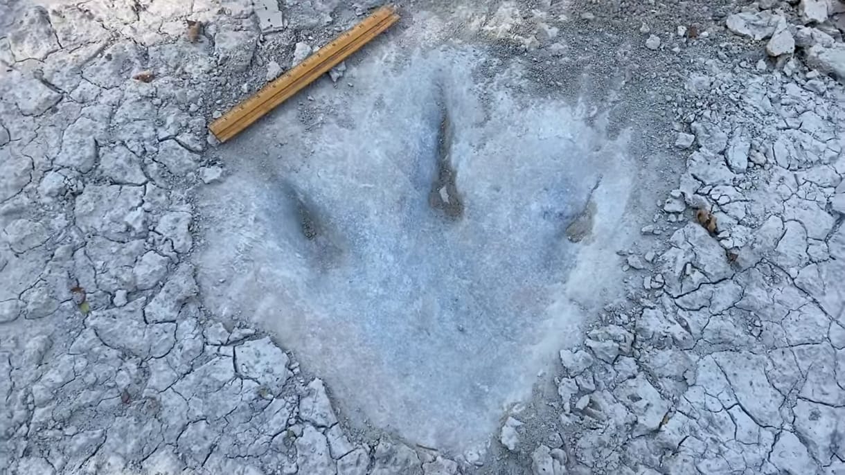 Kiszáradóban egy texasi folyó, 110 millió éves dinoszaurusz-lábnyom került a felszínre