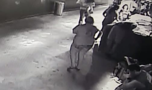 Gyereknek álcázták a cápát, hogy kilopják egy texasi akváriumból