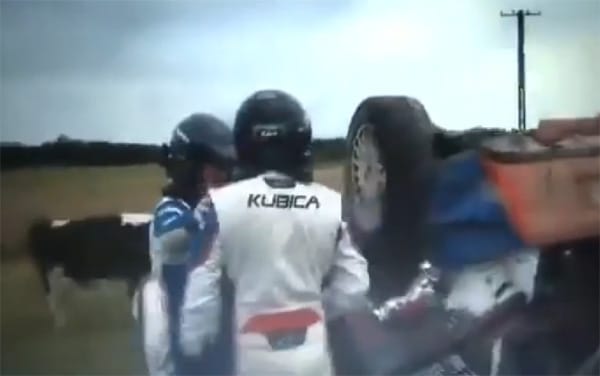 Kubica tehenek közé borította raliautóját - videó