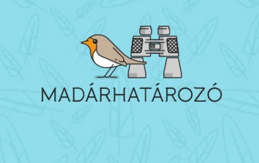 Egy madár csicsereg az udvarán? Egy remek magyar alkalmazás megmondja, milyen