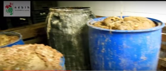 Mocskos budapesti üzemekben forgatta legújabb paravideóját a Nébih