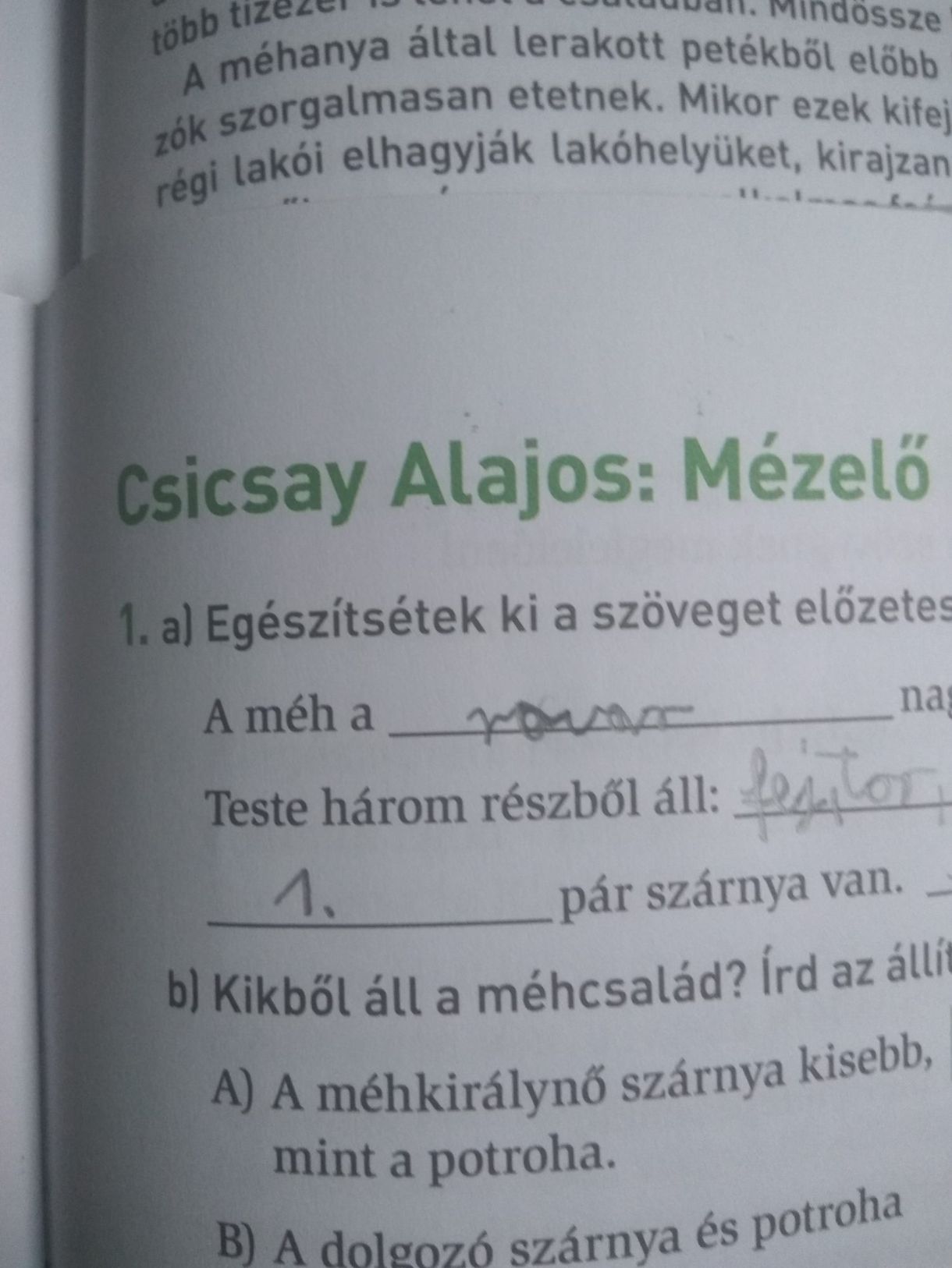 Méhanya vs. méhkirálynő – újabb dicső példa az állami tankönyvkiadásból