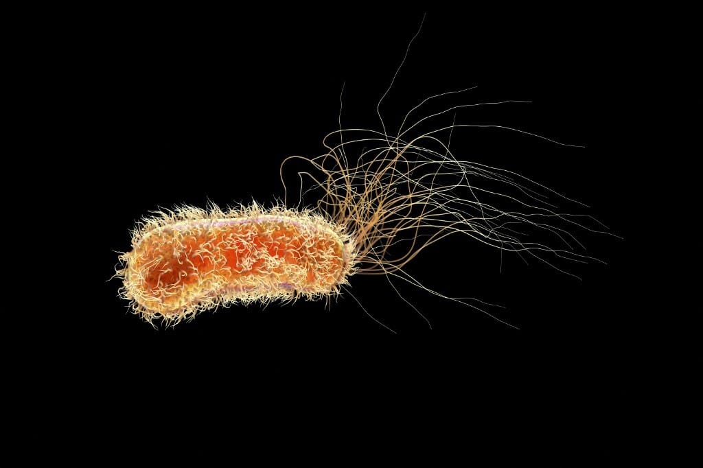 „Az a meglepő, hogy egyáltalán használ egy antibiotikum” – magyar tudósok üzentek hadat a szuperbaktériumoknak
