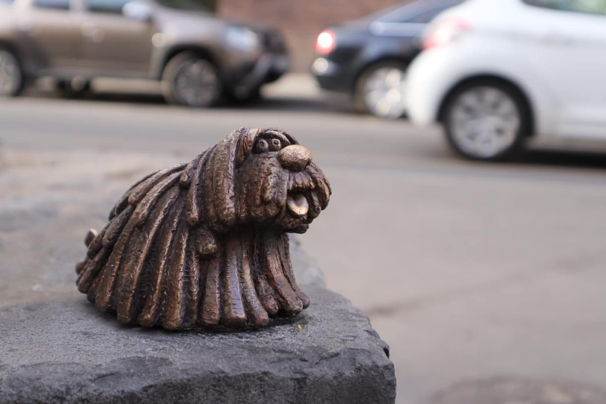 Kutyaszobrok lepték el Budát