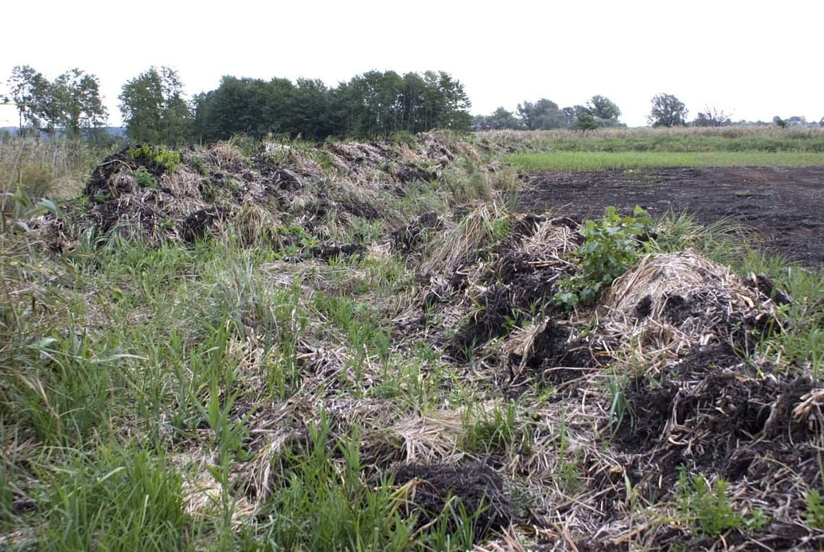 Organic: ifj. Orbán Győző új cége