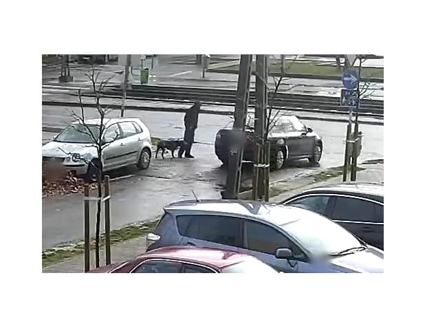 Kutyasétáltatás közben ütött meg egy embert ez a férfi
