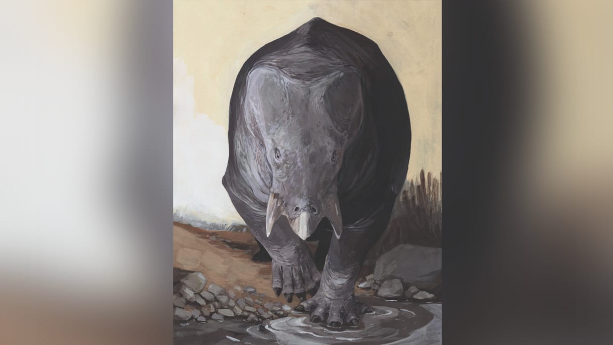 Ez a most megtalált, 9 tonnás állat lehetett az első dinoszauruszok kortársa