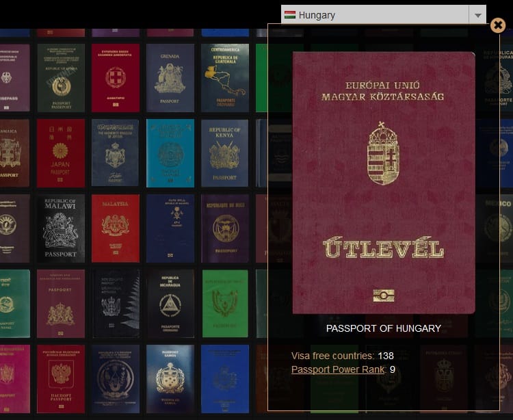 Korrupt ukrán pénzügyi főfelügyelő - magyar útlevéllel?