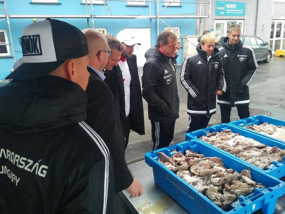 Kim Dzsong Il után szabadon: a magyar válogatott megtekintette Feröert