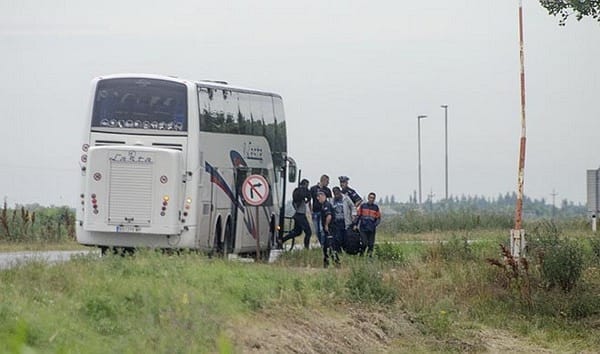 Lefotózták, ahogyan a szerb rendőrök a zöldhatárhoz küldik a menekülteket