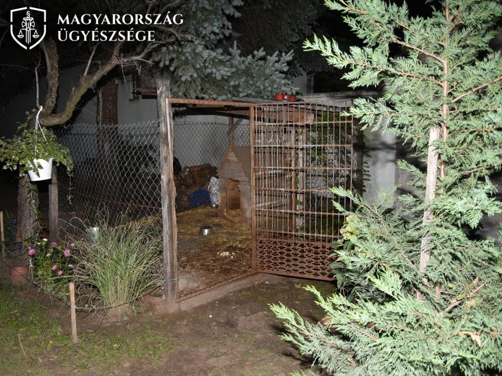 Akita tépte le egy nő csuklóját Bács-Kiskun megyében, vádat emeltek a gazdája ellen