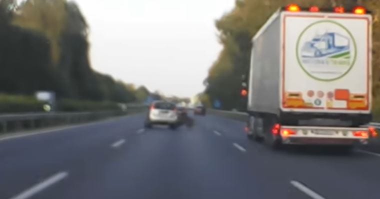 Vaddisznó rohant neki egy Suzukinak az M7-esen – videó