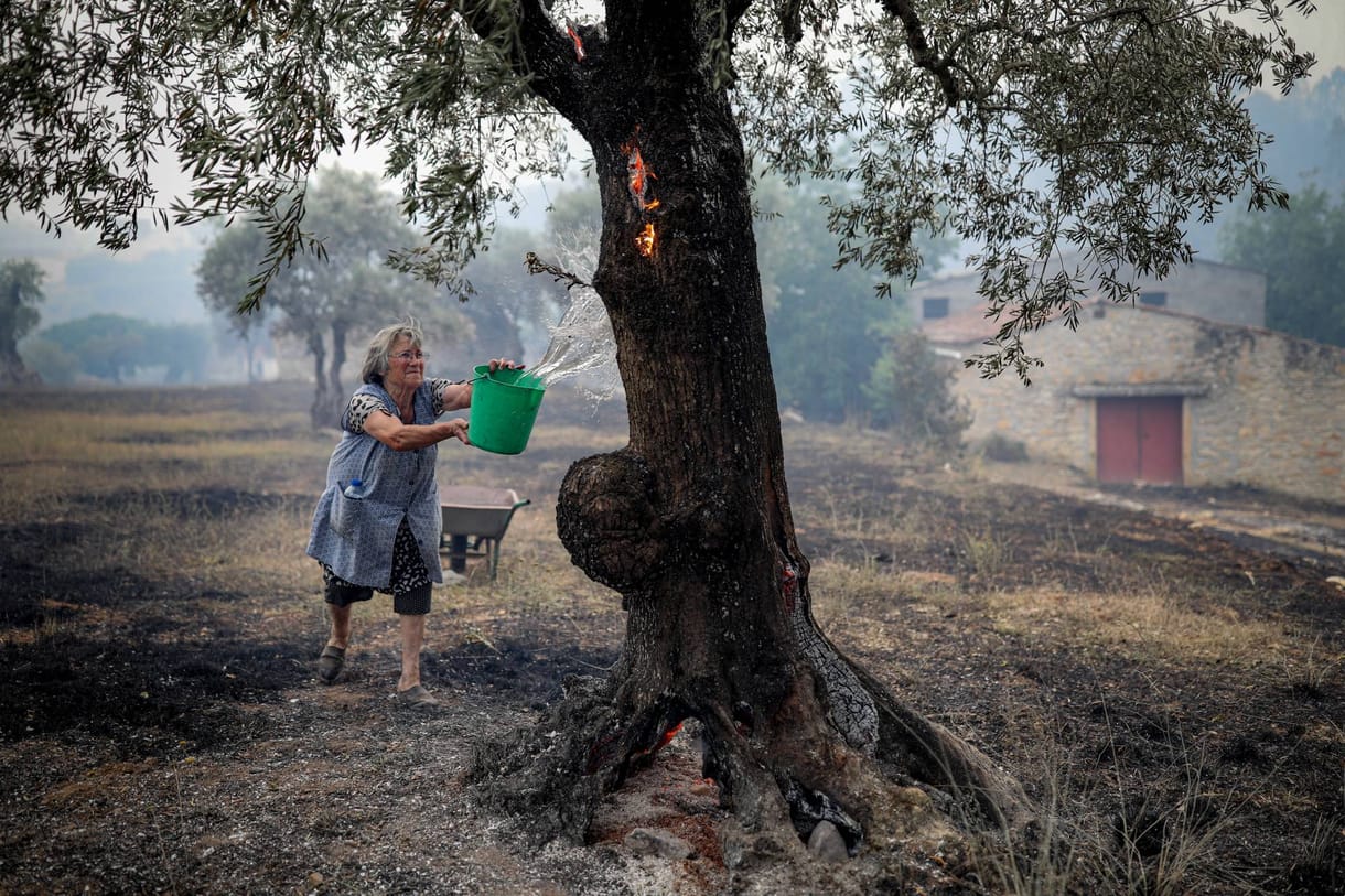 Lángba borultak az erdők a mediterrán országokban – több helyen is evakuálták a lakosságot