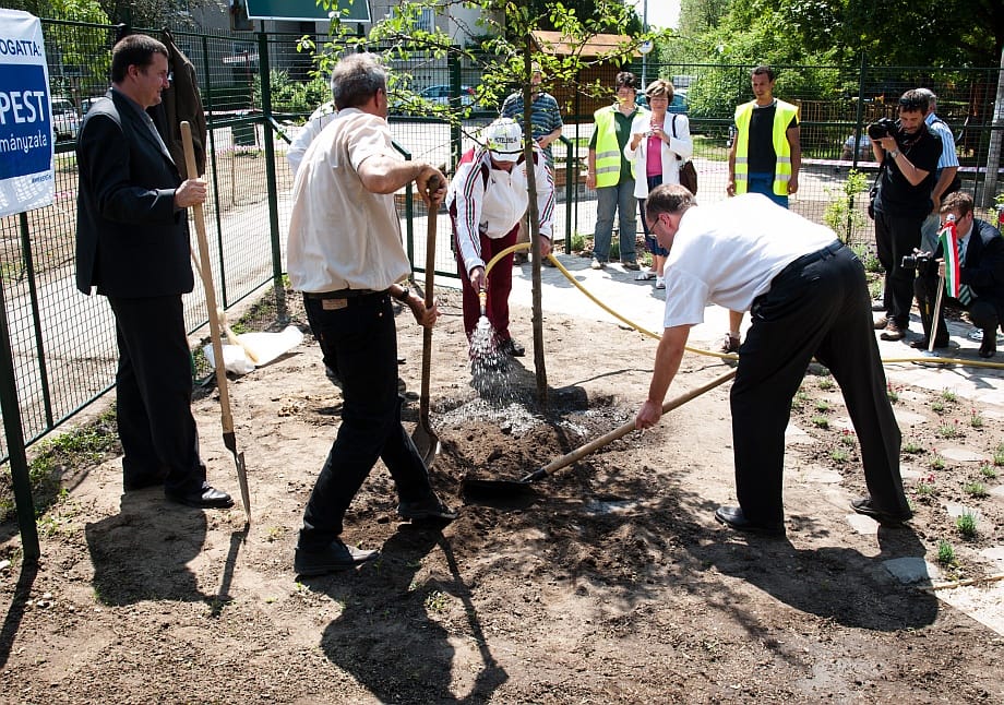 Ide bárki ültethet: megnyílt Budapest első közösségi kertje