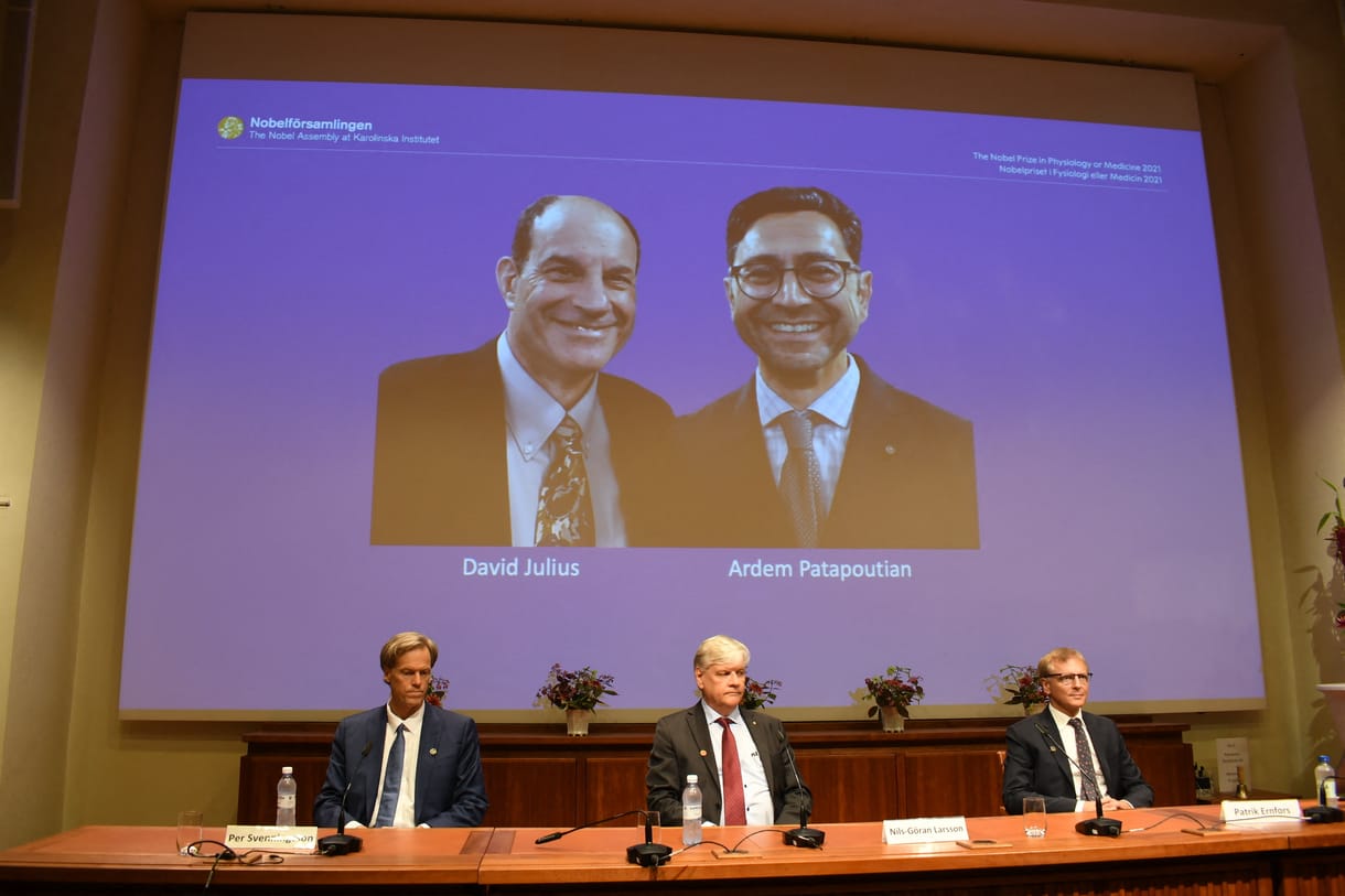 Magyar kutatóknak is köszönheti az orvosi Nobel-díjat David Julius