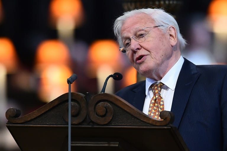 David Attenborough megkongatta a vészharangot, hamarosan egymillió faj halhat ki